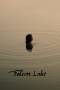 Falcon Lake (2022) Falcon Lake (2022)