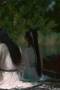 Lady Revenger Returns From the Fire Season 1 Episode 19 Lady Revenger Returns From the Fire Season 1 Episode 19